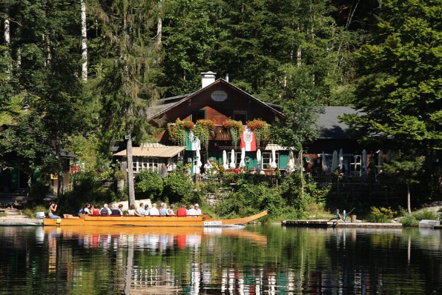 Apartment Haus Toplitzsee Nahe Dem Grundlsee Und Toplitzsee Gossl Dış mekan fotoğraf
